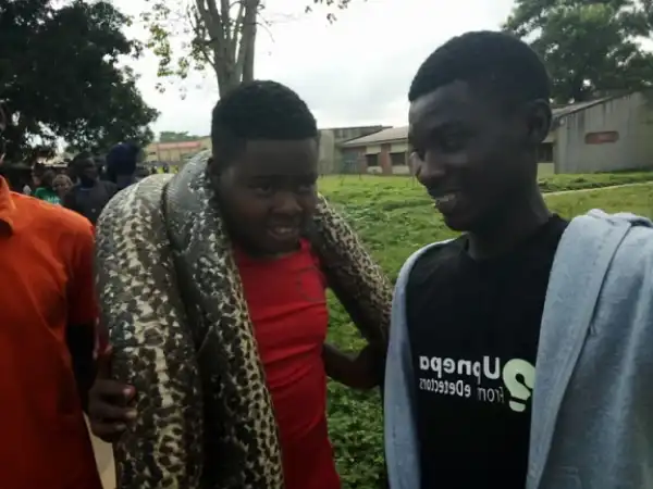 12ft Python Killed In FUTA (Photos)